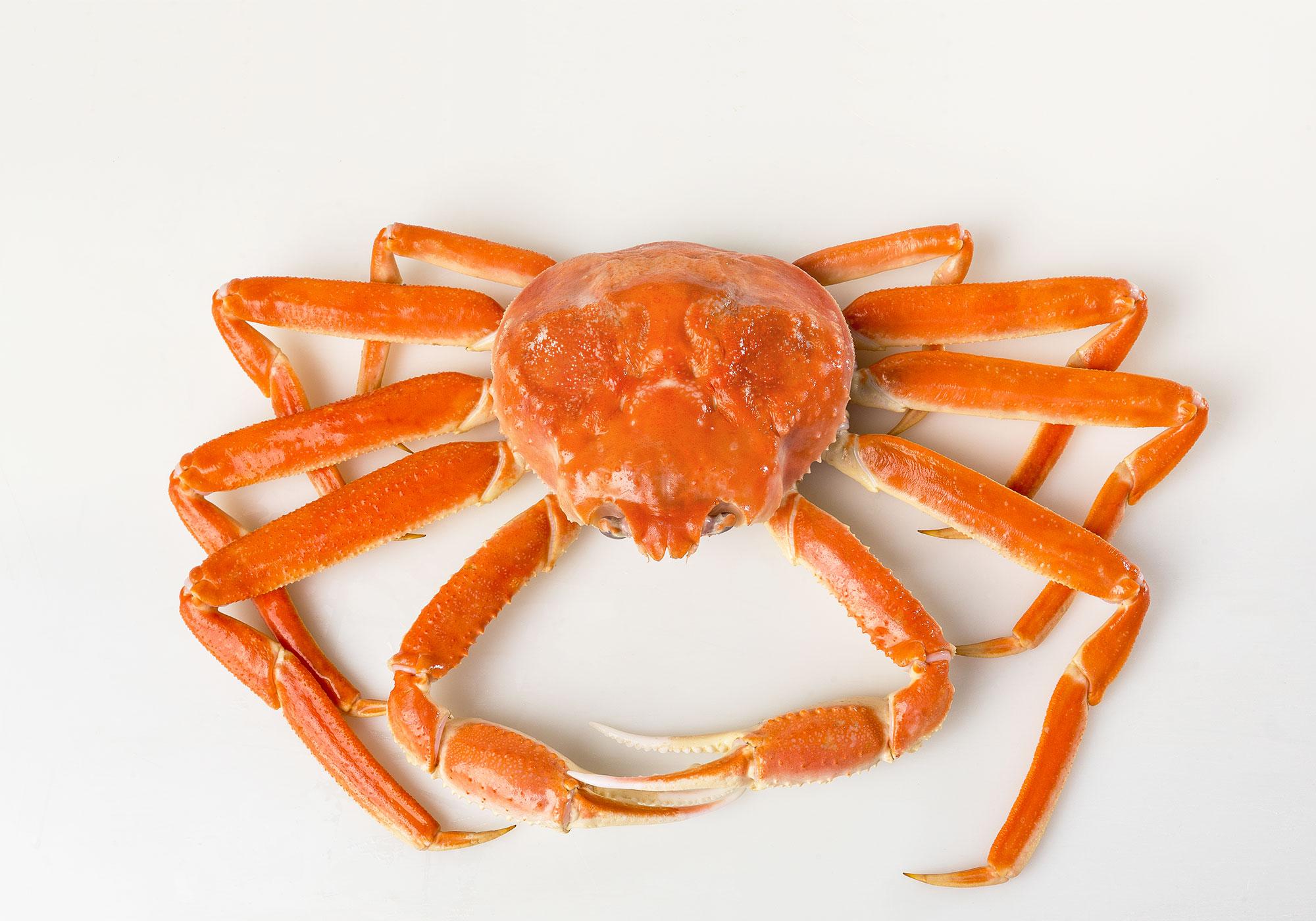 Product Snow Crab | Barry Group Inc image