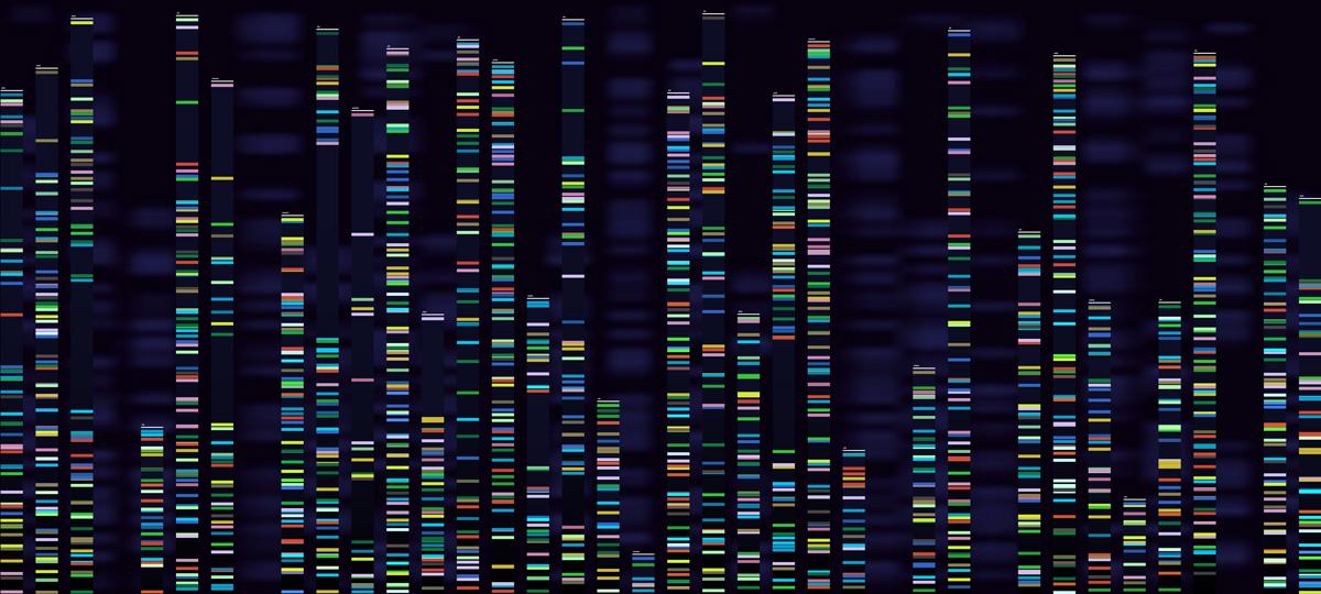 Product: PacBio Launches New “Revio” Long-Read Platform for Under $1000 Per Human Genome - Bridge Informatics