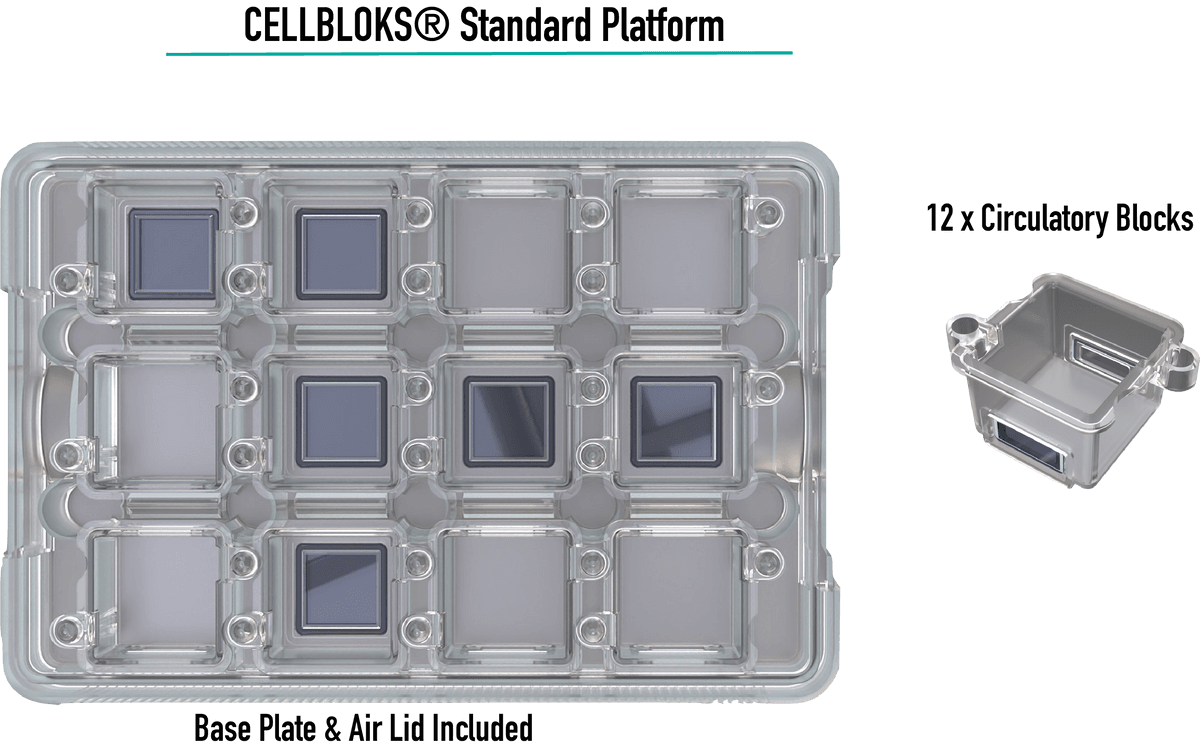 Product CELLBLOKS® Circulatory Kit | Revivocell Limited image