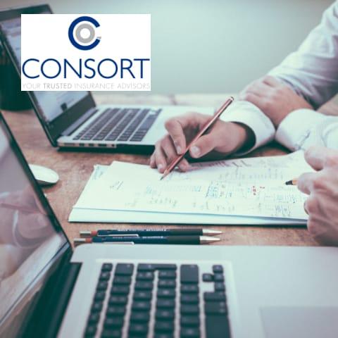 Product Consort Insurance - Clear Thinking Solutions image