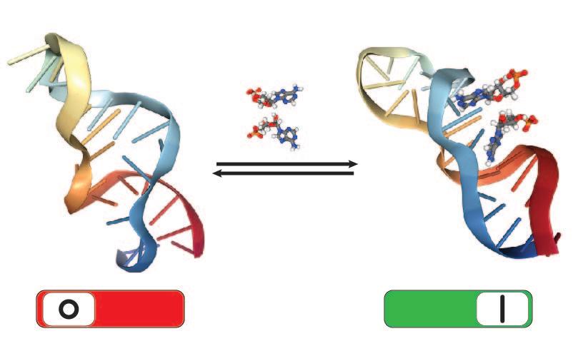 Product Functional DNA Nanotechnology – DNA-Robotics image