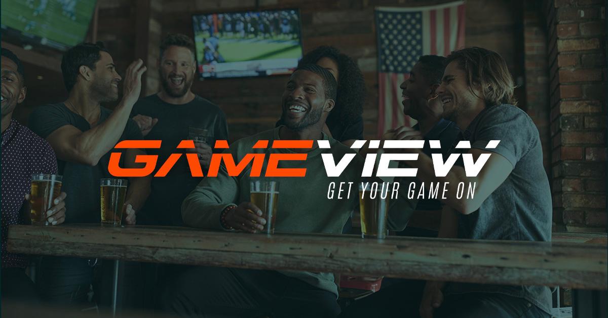 Product Features - GameView image