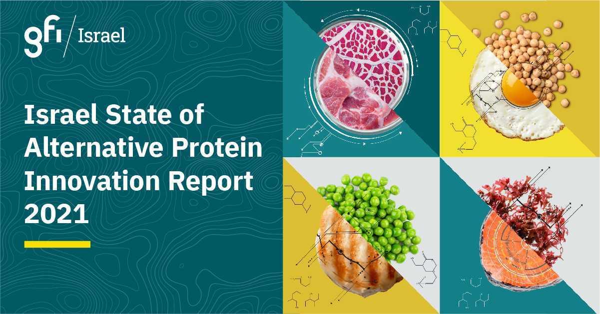 Product Israel State of Alternative Protein Innovation Report 2021 - GFI image