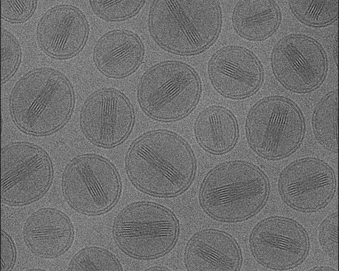 Product Nanoparticle Characterization | Cryo-TEM | Nano Imaging image