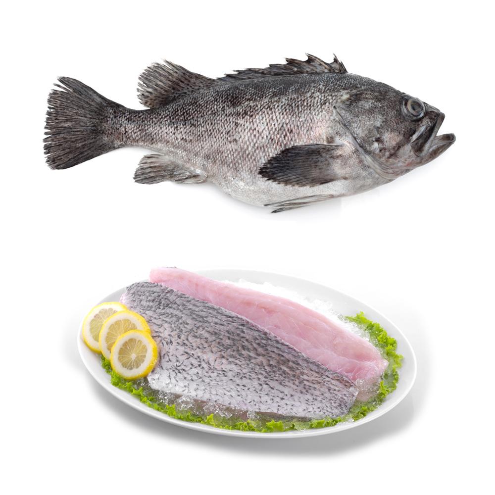 Product Frozen Grouper – Hilo Fish Co. image
