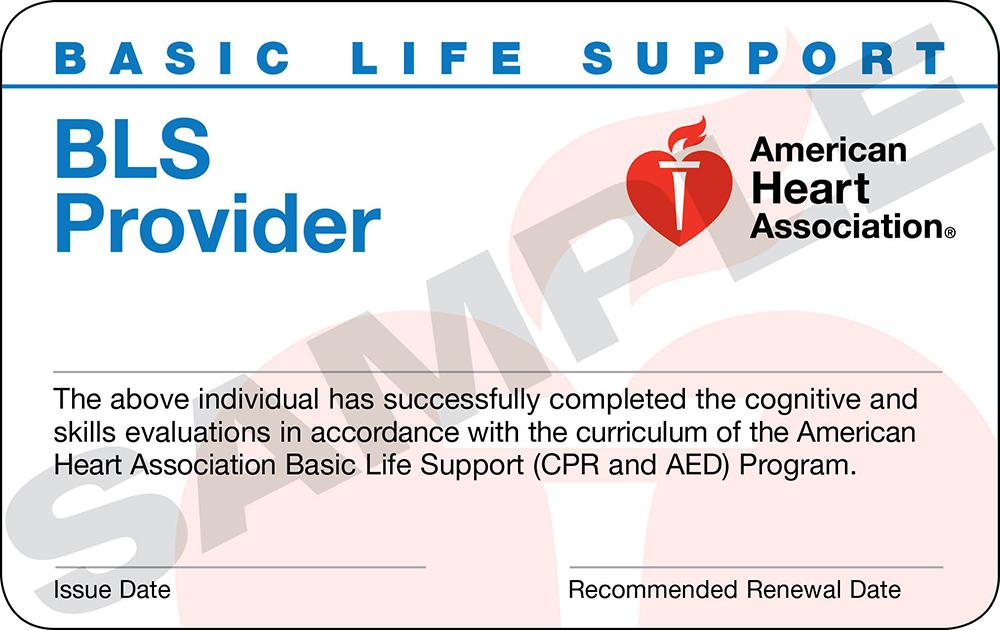 Product BLS Healthcare Providers | Medserv Healthcare Solutions image