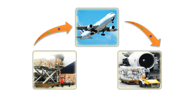 Product: How about production process for air cargo transport?-CNS Freight Forwarder