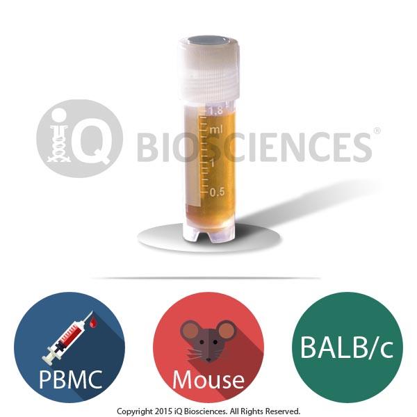 Product Buy BALB/c Mouse PBMCs for Research | iQ Biosciences image
