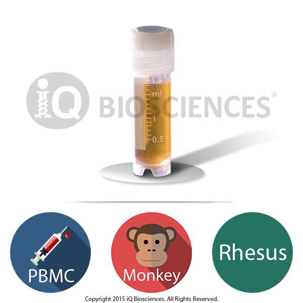 Product Buy Rhesus Monkey PBMCs | iQ Biosciences image