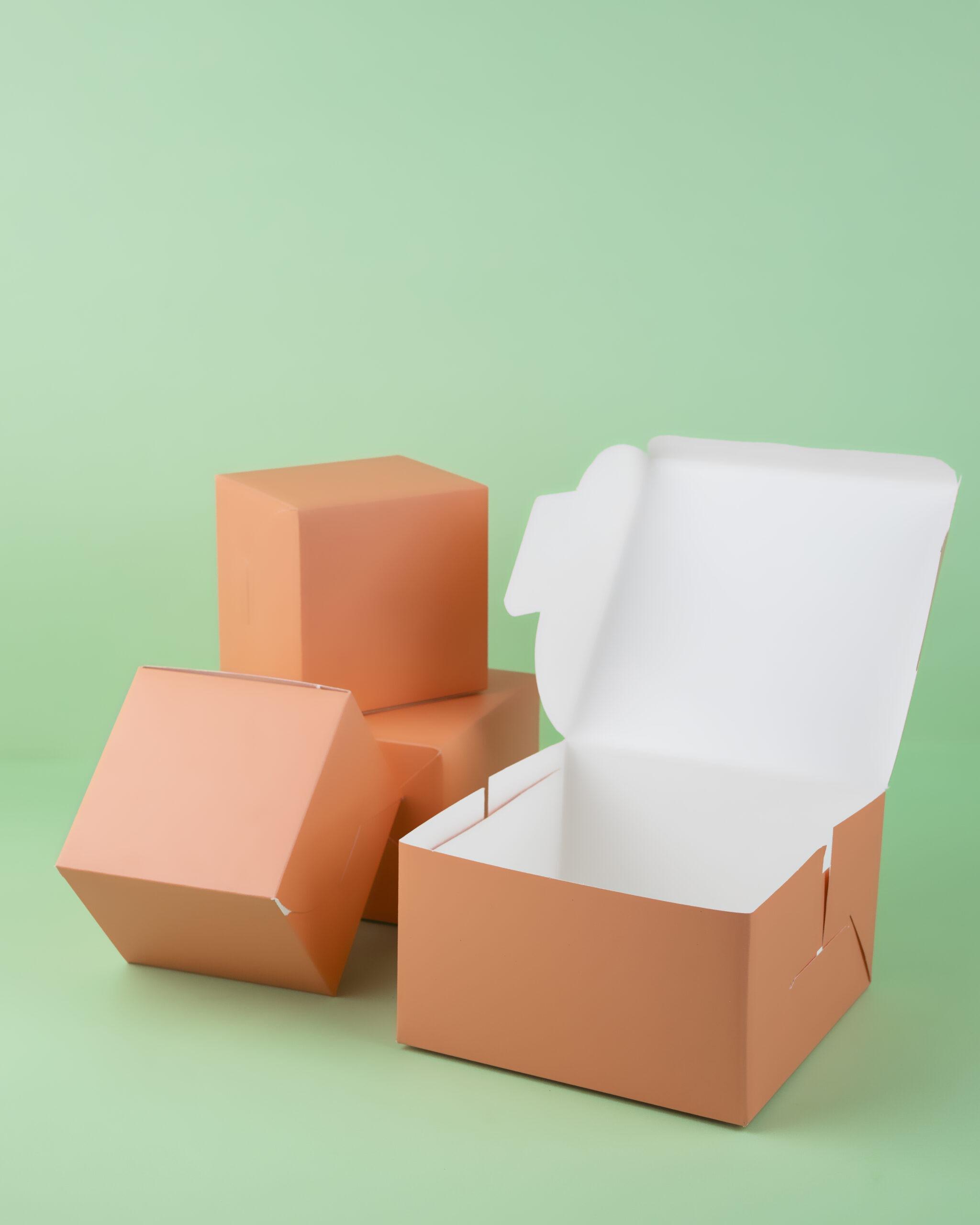 Product Regular Cake Box - Layer One Packaging image