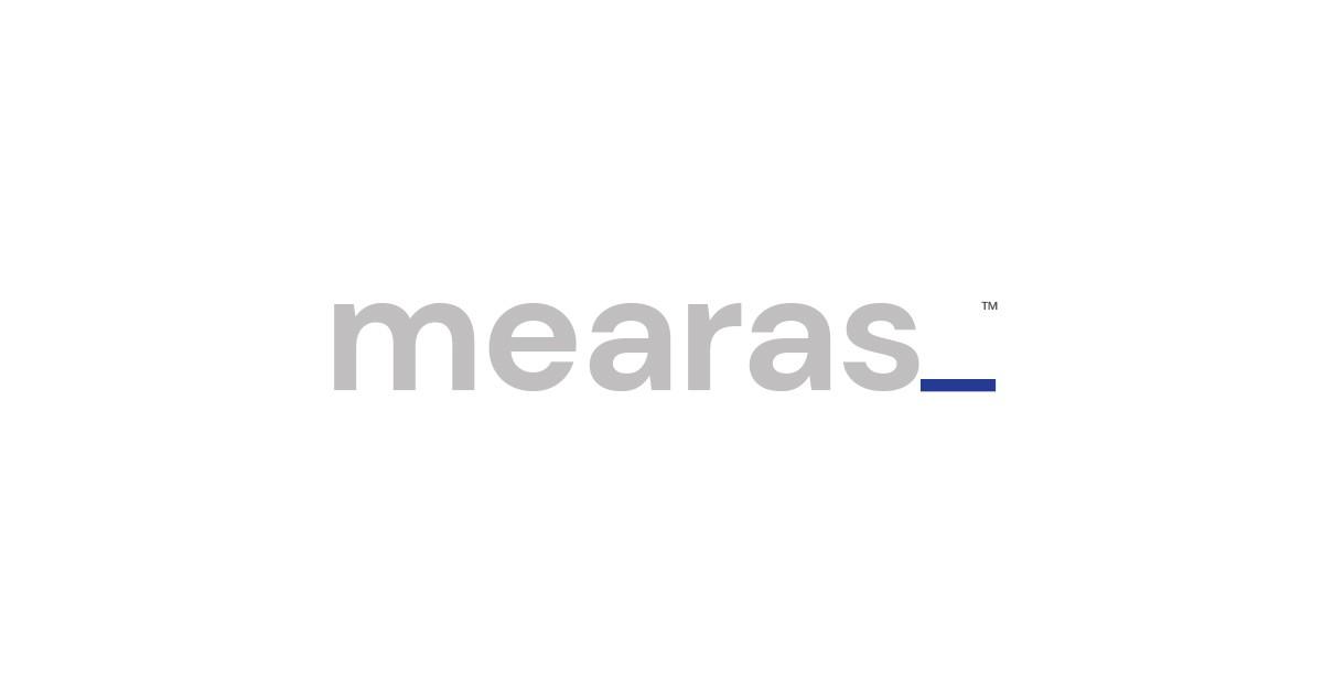 Product Services - Mearas Technologies image