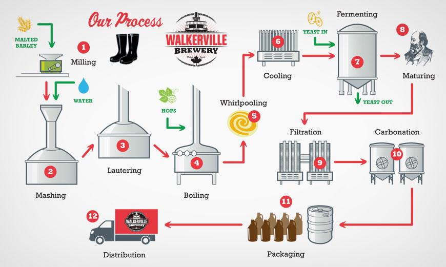 Product: Brewing Process Poster | nuflux media