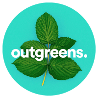 Product Our Services - Outgreens Egypt image
