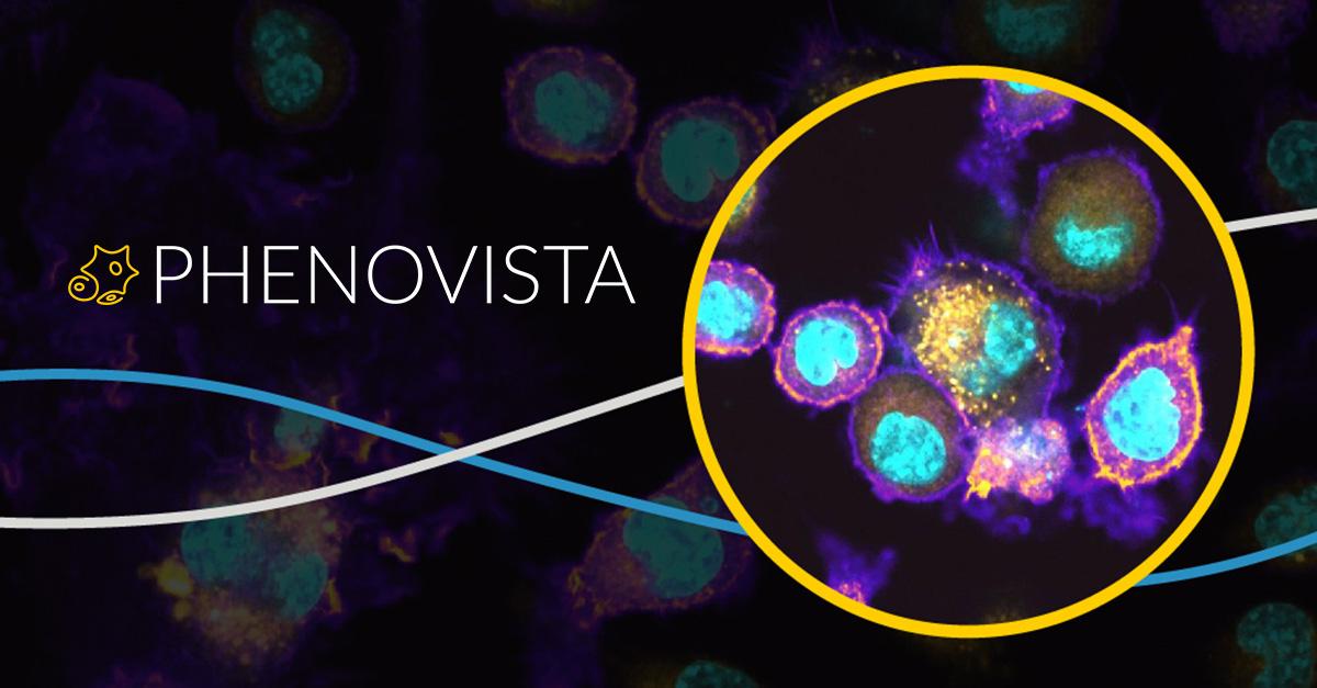 Product Bespoke In Vitro Assay Services - PhenoVista Biosciences image