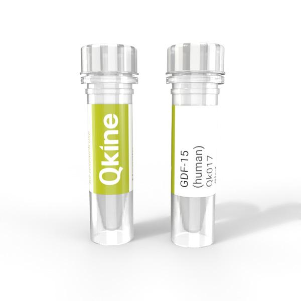 Product Recombinant human GDF-15 protein (Qk017) | Qkine image