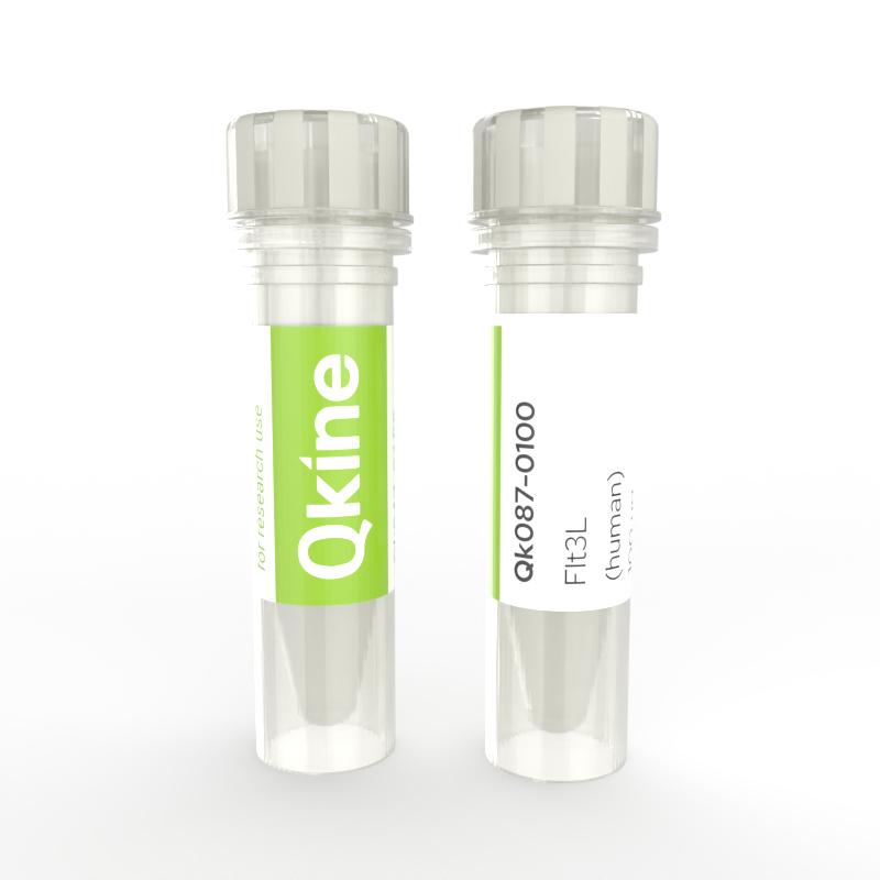 Product Human recombinant Flt3L | Animal-free | Dendritic cells | Qkine image