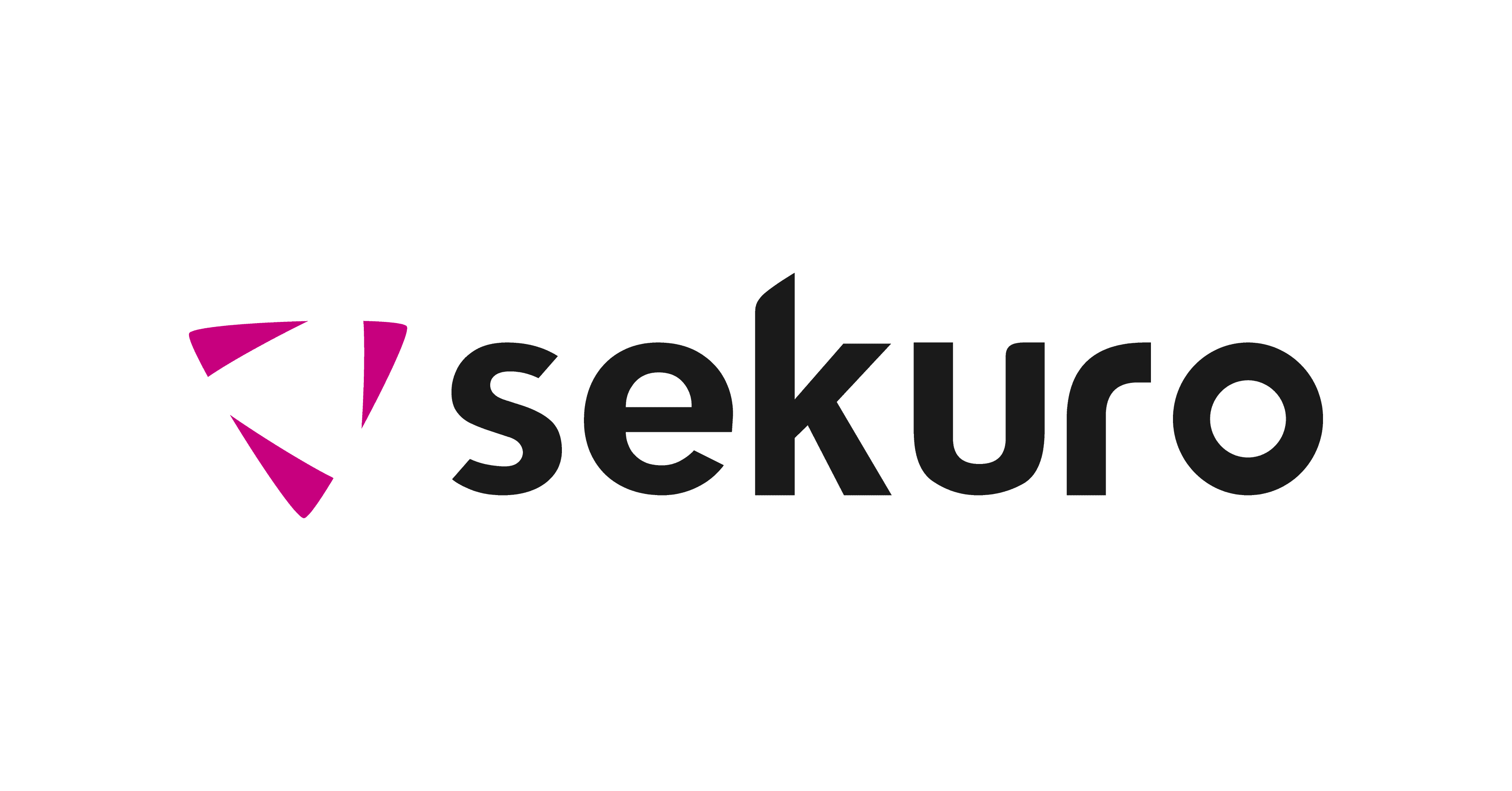 Product Technologies & Platforms | Sekuro image