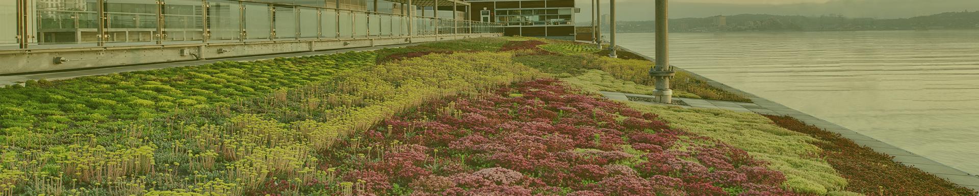 Product Green Roofs | SOPREMA image