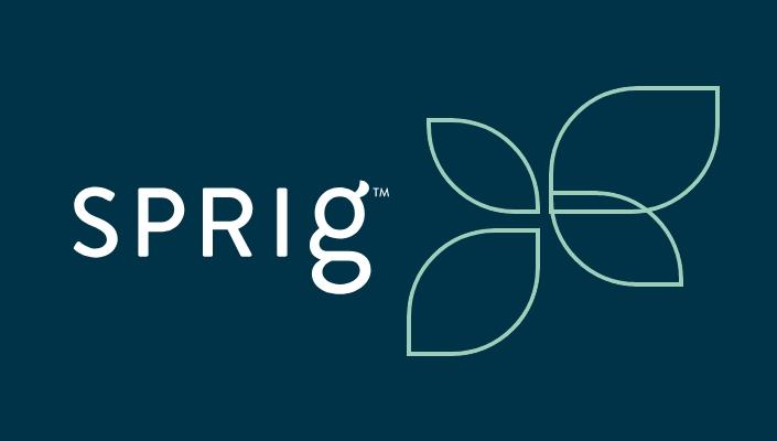 Product: Services - Sprig Consulting