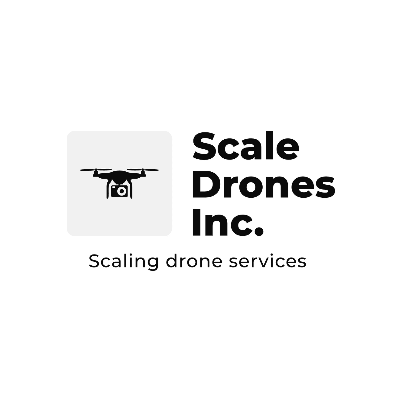 Product Services | Scale Drones Inc. image