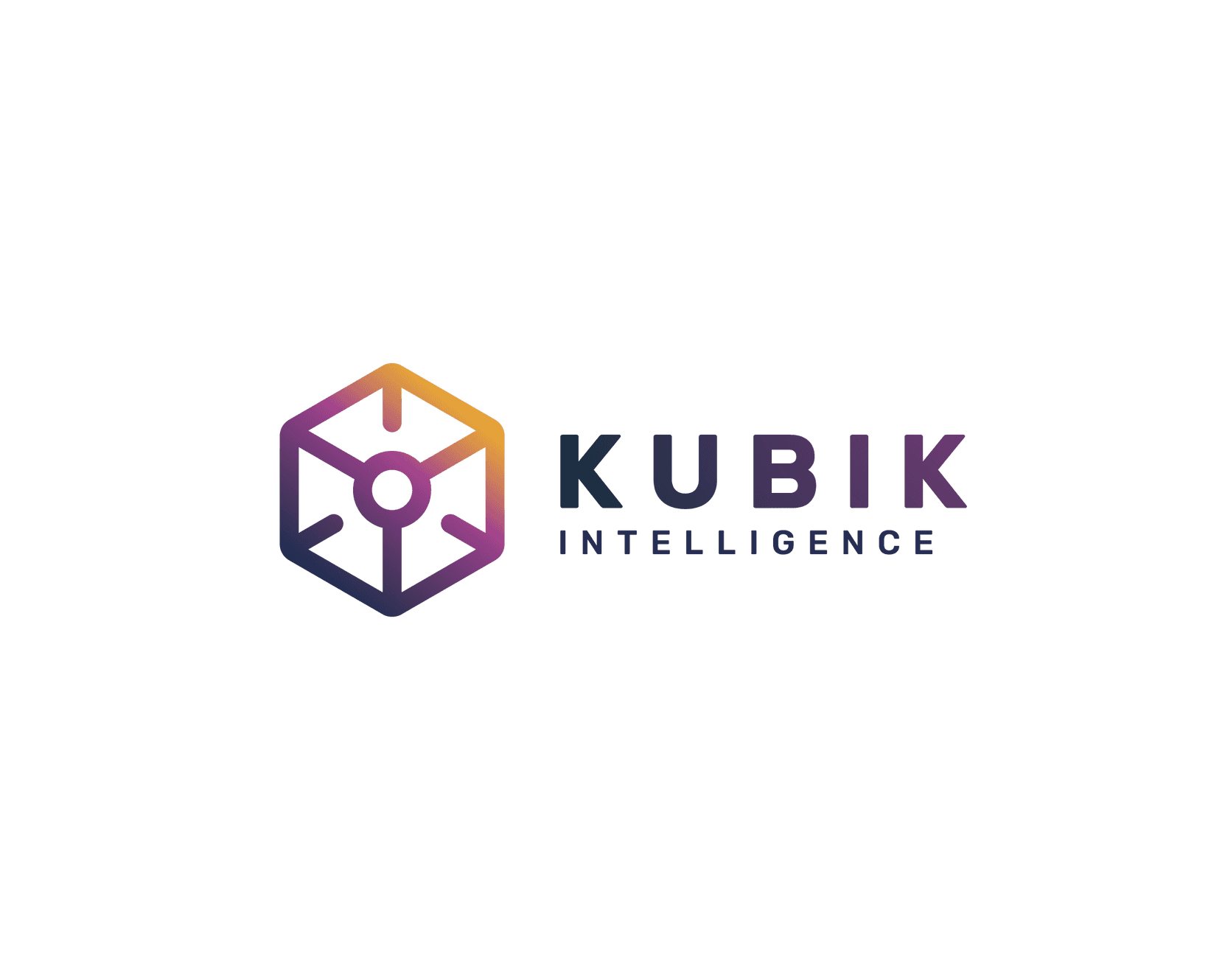 Product SERVICES | KUBIK Intelligence image
