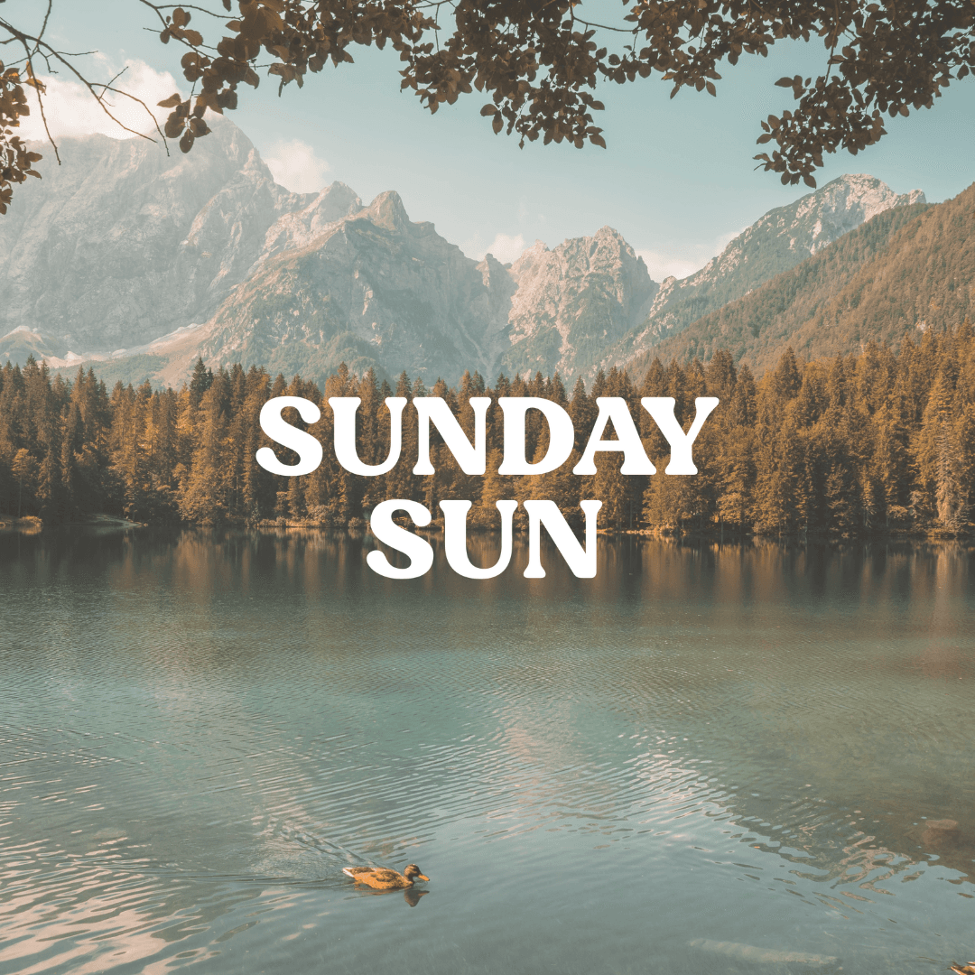 Product: Sunday Sun | Designed by Quixotic Design Co.