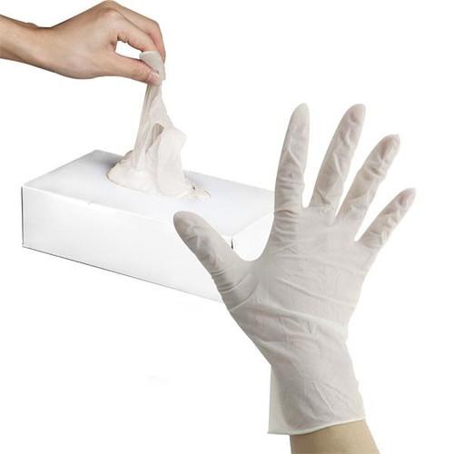 Product: 100 Powder Free Disposable Vinyl Gloves | Best Brand Solutions