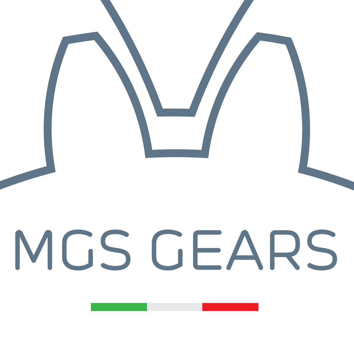 Product Products | Rho | MGS GEARS image