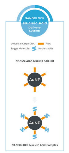 Product NANO Block Nucleic acid Delivery Kit | NES Biotechnology image