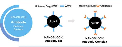 Product NANO BLOCK Antibody Delivery Kit | NES Biotechnology image