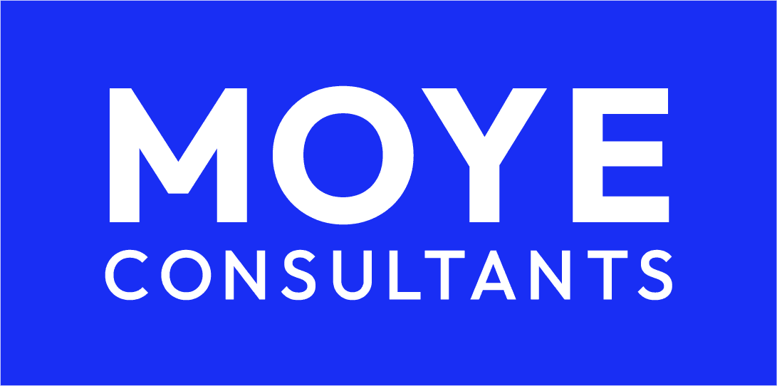 Product Services  | Moye Consultants image