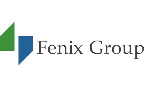 Product Fenix Group | New York | Consulting & Advisory image