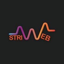 Product Services - Striweb image