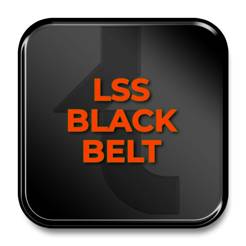 Product Tactegra Lean Six Sigma Black Belt Certification - Tactegra image