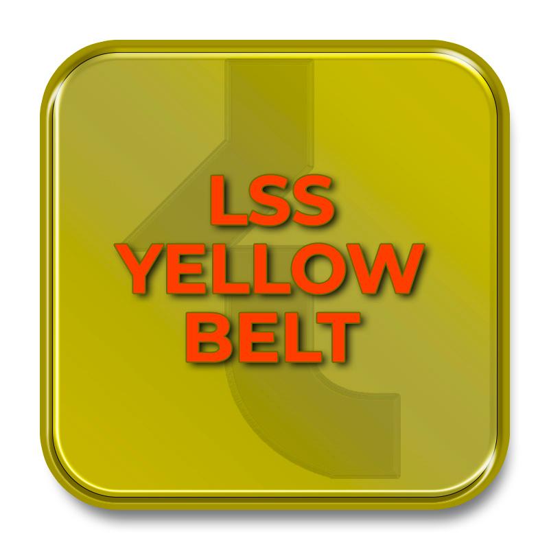Product Tactegra Lean Six Sigma Yellow Belt Certification - Tactegra image