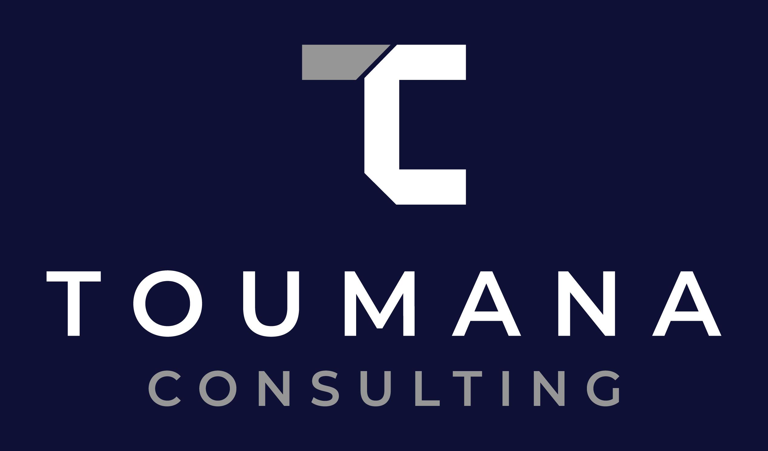 Product Services - Toumana Consulting : Data-Driven Marketing & Analytics image