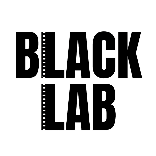 Product Services - BlackLAB image