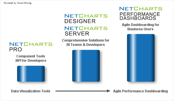 Product NetCharts Products | Data Visualizations | Performance Dashboard– NetCharts by Visual Mining image