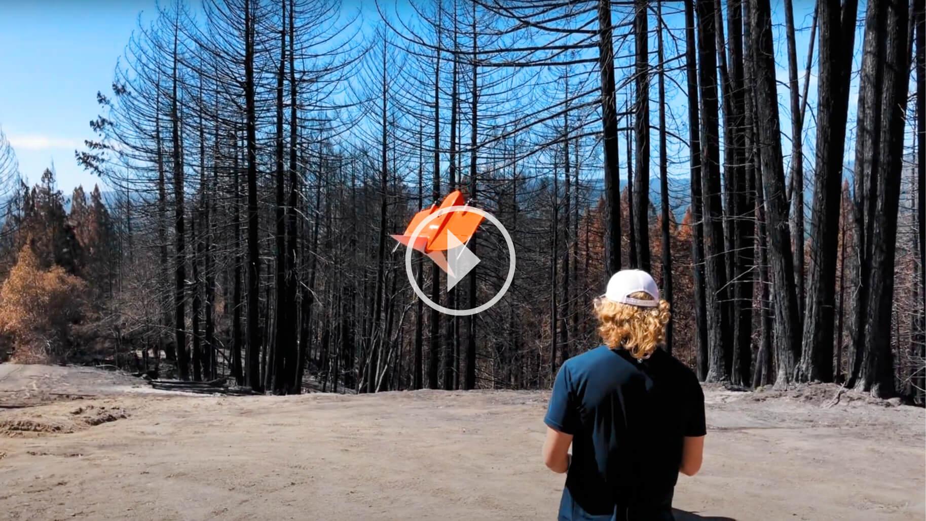 UseCase: Overcoming redwoods and mixed terrain, WingtraOne offers a new level of insight into California fire damage assessment | Wingtra