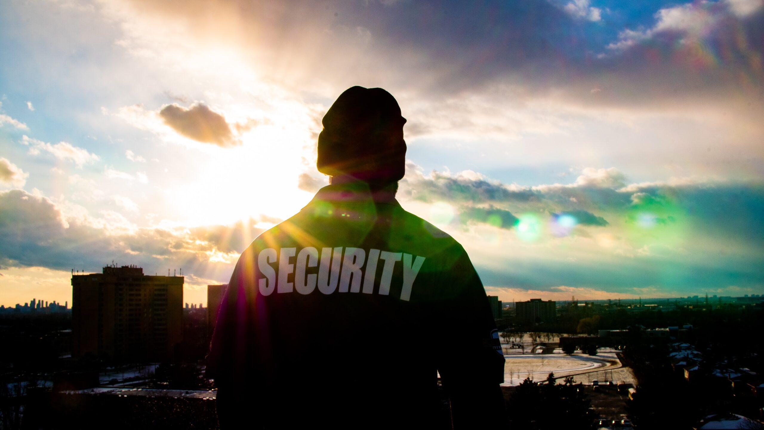 Product Security Consultant - Security Guard & Risk Assessment Services image