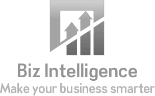 Product Shop | BIZ Intelligence Website image