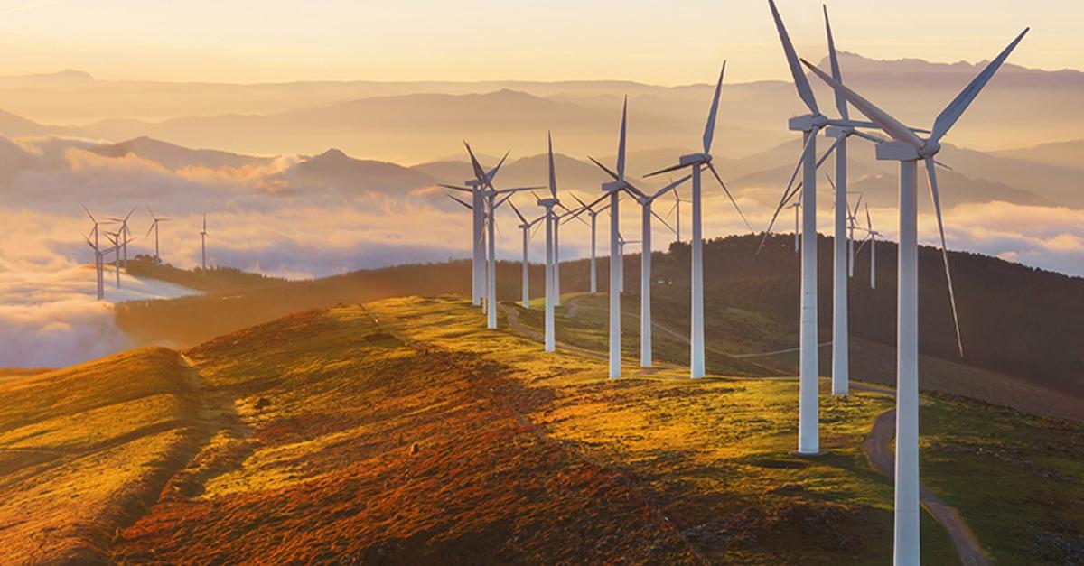 Product Énergies renouvelables | Climate Impact Partners image