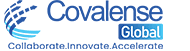 Product Management consulting | Covalense Global image