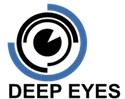 Product Quick Technology Facts About DeepEyes Video-Based AI image