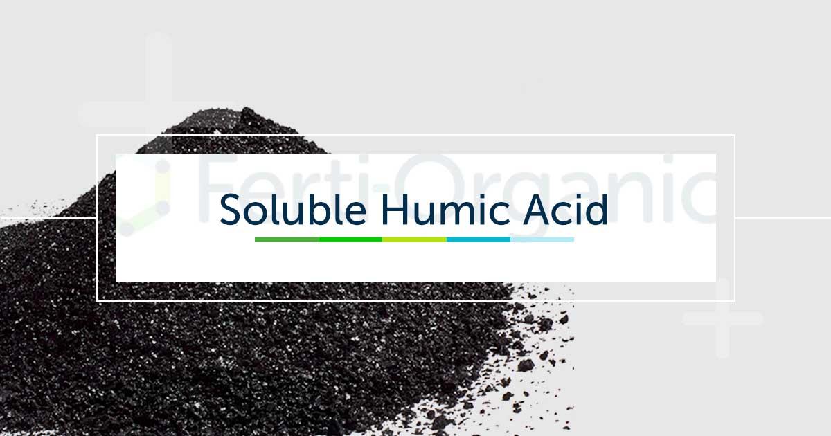 Product Soluble Humic Acid helps to retain vital plant nutrients | Ferti Organic image