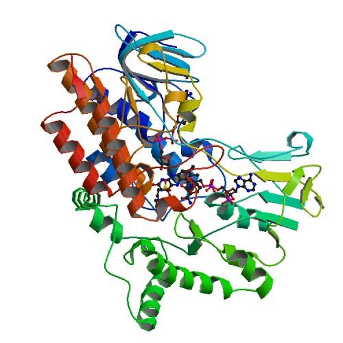 Product Baeyer-Villiger Monooxygenases (BVMOs) - Gecco Biotech image
