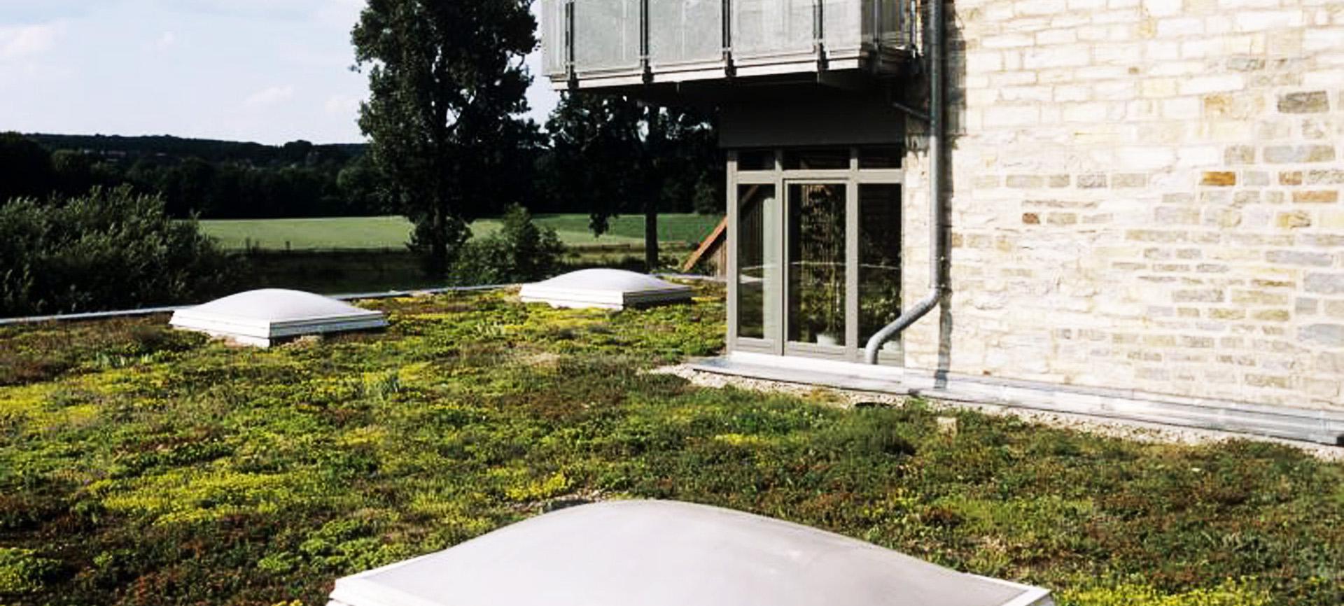 Product Extensive Green Roof - Green Roofers image