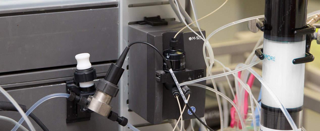 Product Pall's MEP HyperCel™ to capture polyclonal antibodies - GTP Bioways image