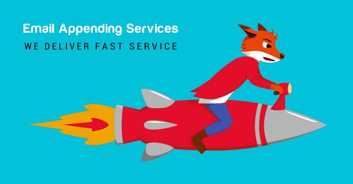Product B2B Email Appending Services - Improve Your Database 🦊 image