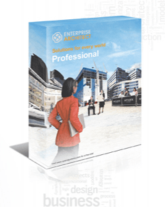Product Enterprise Architect Floating Professional Edition - IAG Consulting image